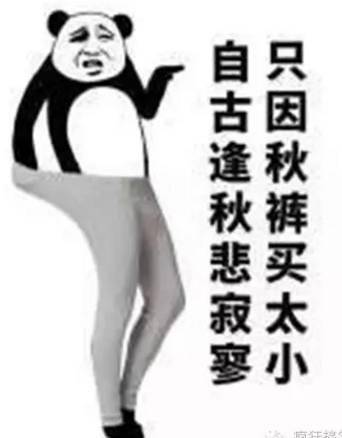 16e45fdbe735498ea2572a1c8cc07a87.jpeg
