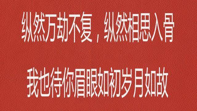 语录温柔短剧，文字中的情感抚慰与心灵共鸣