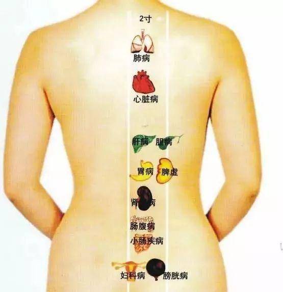 人身体里有多少宿便 8671dd2b08144c5e8c06a56cd734ba11.jpeg