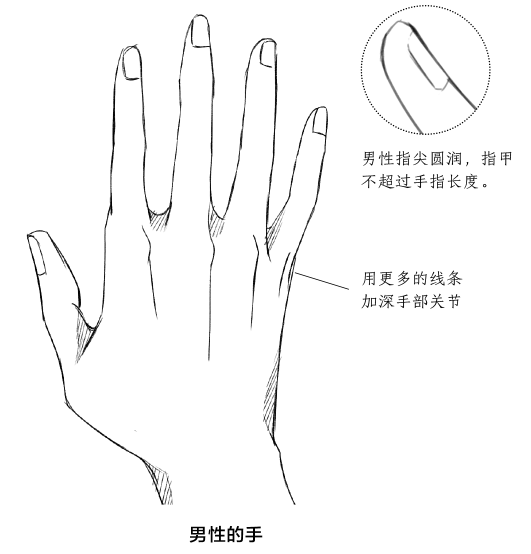 动漫课堂超实用动漫手画法满满干货