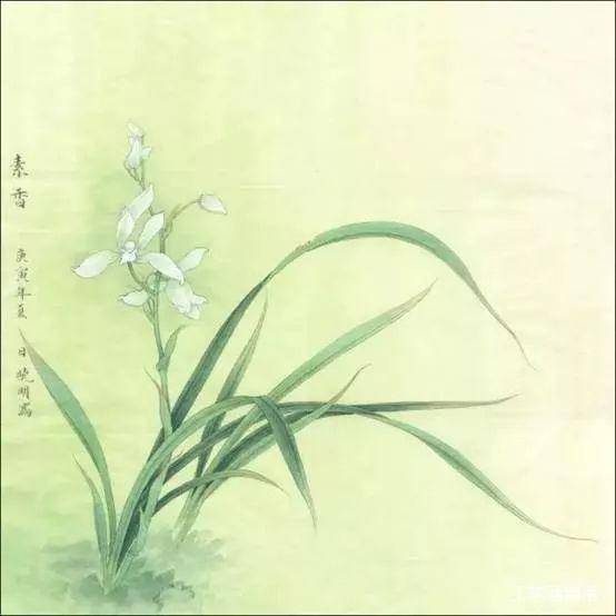 【国画教程】李晓明工笔画兰花视频教程:包含详细文字