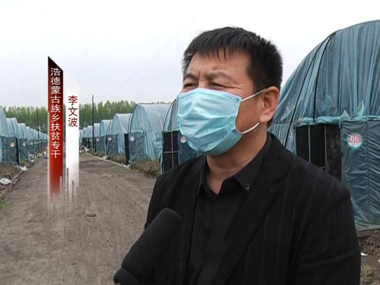 肇源县浩德蒙古族乡羊肚菌种植项目走出乡业发展特色致富路