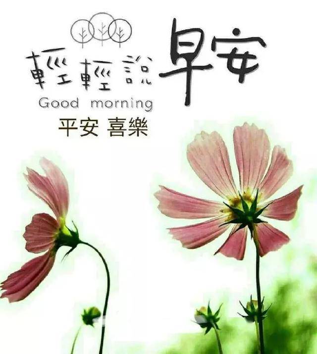 朋友别忘记多多联系,感情加加温,愿你健康,早安