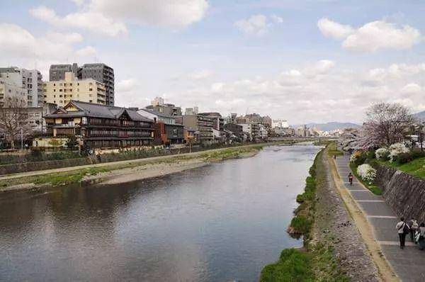 去京都,鸭川非去不可?