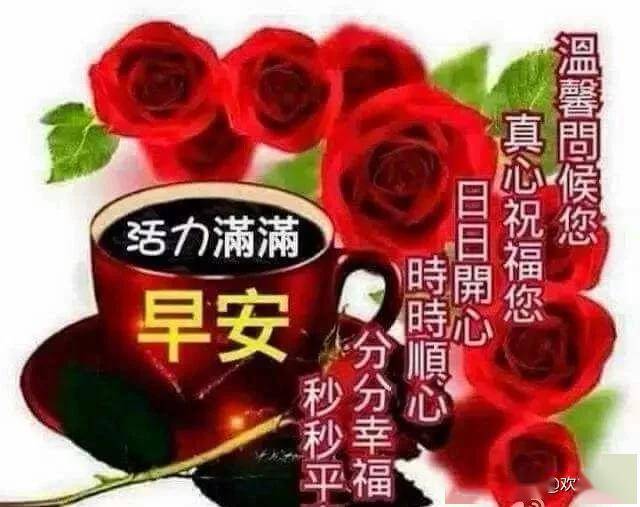 朋友不在数量,而在质量;爱人不在外貌,只在品德,早安
