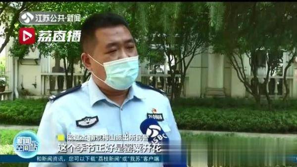 边防：罂粟藏身小区公共绿地 被边防老兵一眼认出，