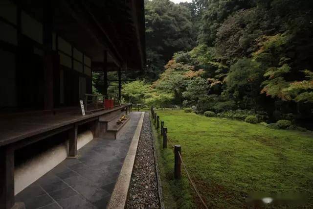 一处青苔，美了一个院子