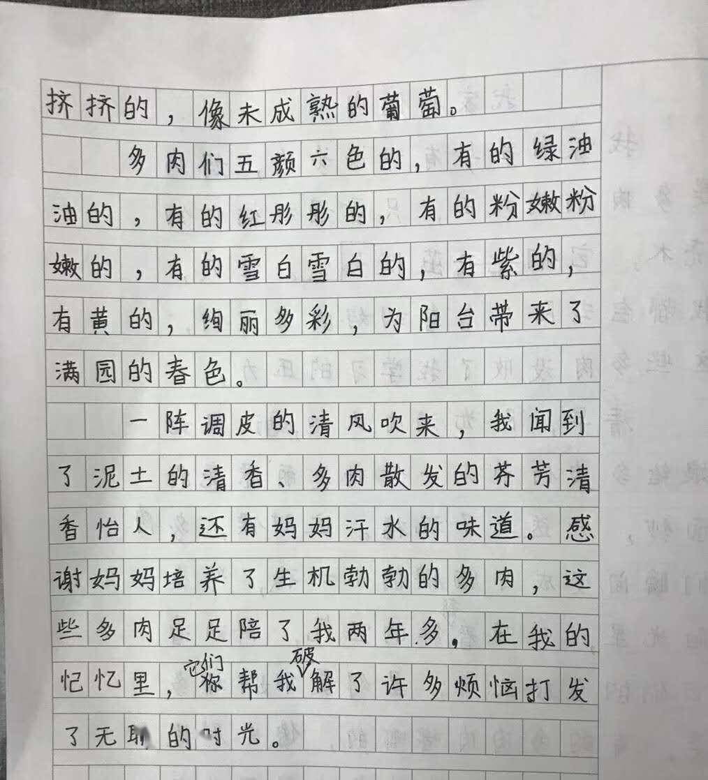 我们计划招收200名学生,免费学针对中小学生的作文课(附视频 资料)