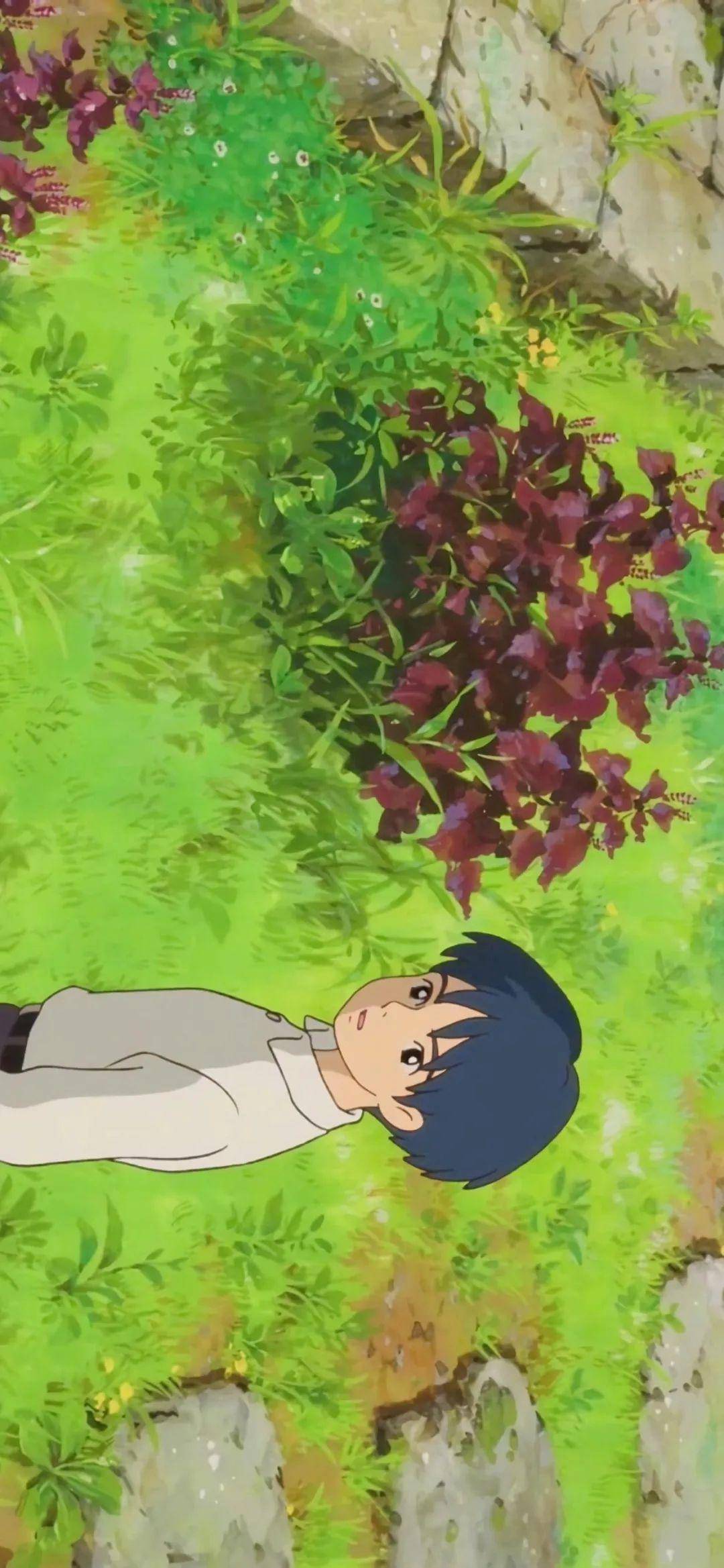 壁纸 l 动漫里的夏天