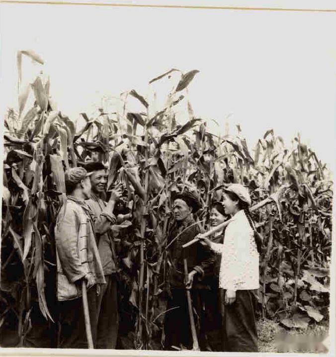 重磅推出41张老照片重温1972年宣威攀枝戛艰苦奋斗精神