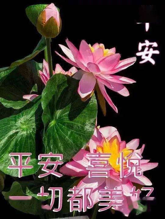 7张早上好祝福语图片推荐,早安图片带字带问候语