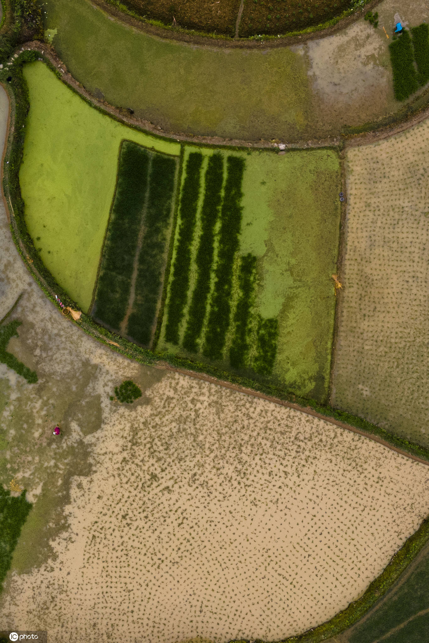 2020湘西自治州各县g_湘西土家族苗族自治州(3)