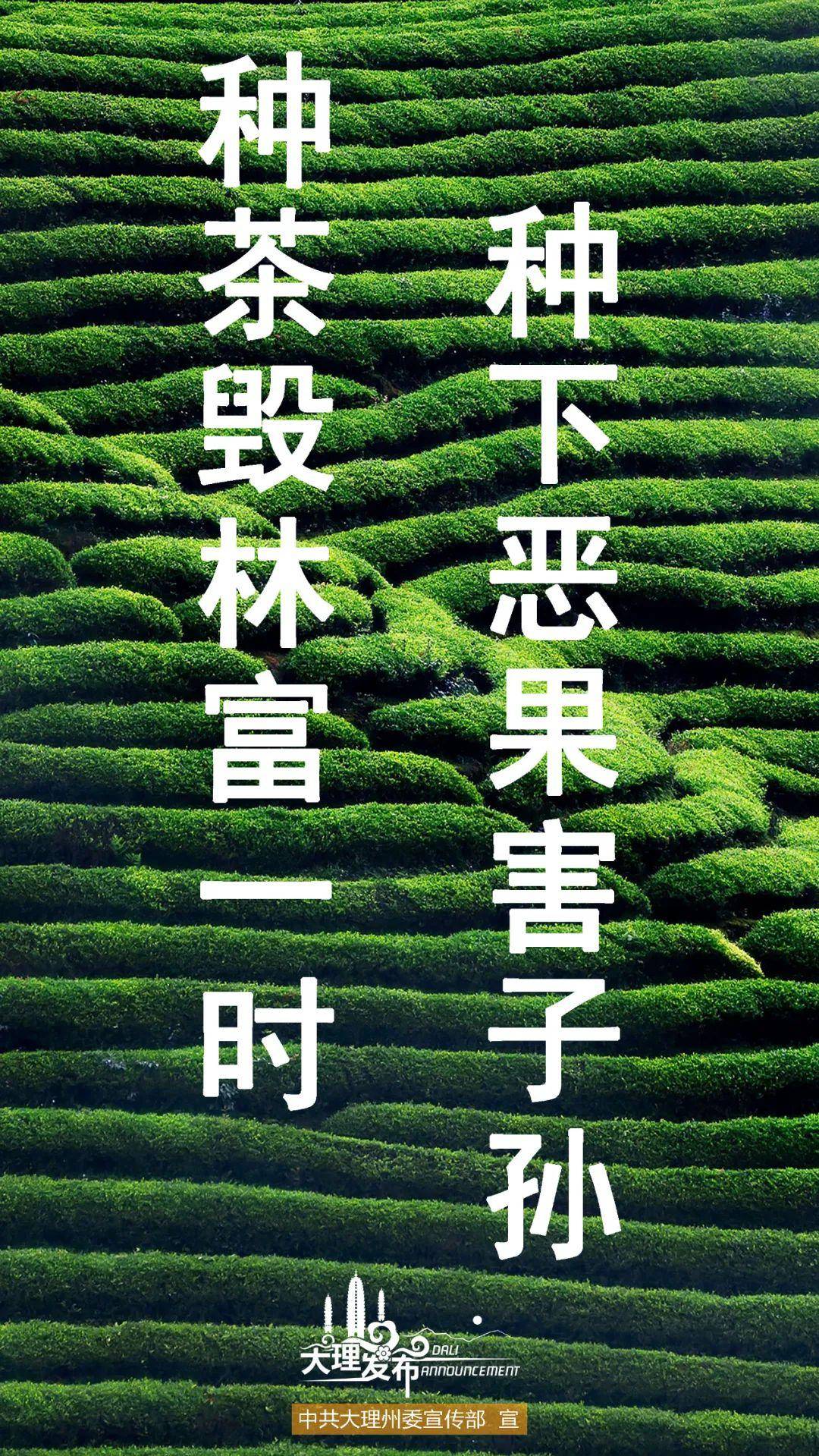 集体经济总量增加_村级集体经济展板(3)
