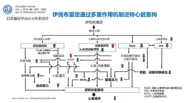 真实世界研究中积累的临床数据 10-13,伊伐布雷定适用于两类住院患者