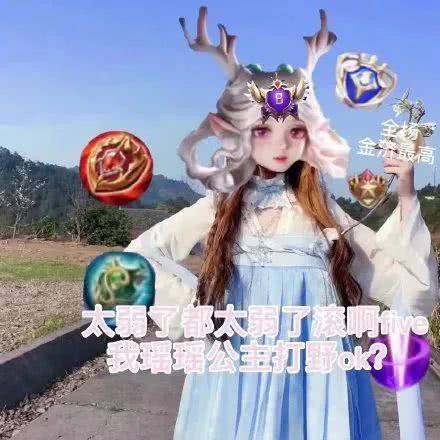 王者荣耀瑶辅助辅王表情包