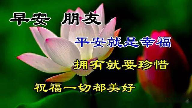 什么是好的人生态度 f474149cfc66433fbf789e48424c97b6.jpeg