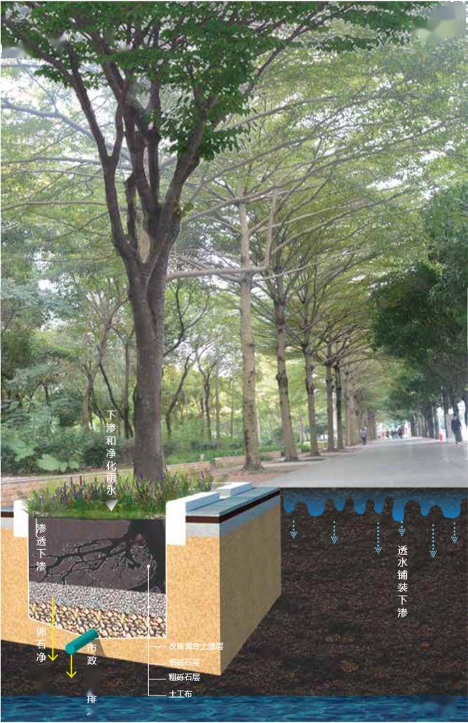 ▼海绵城市生态树池注意事项生态树池做法虽然简单,但是要注意考虑