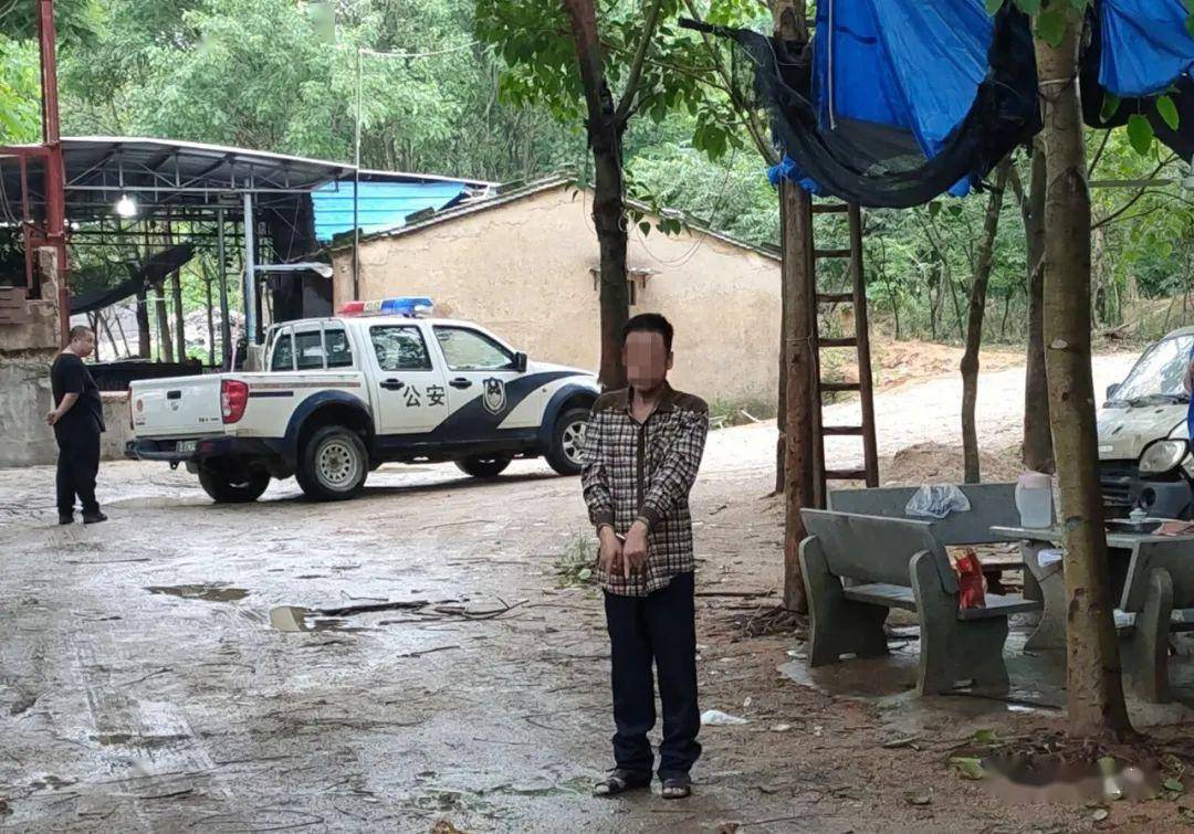 麒麟镇多少人口_北流隆盛镇有多少人口(2)