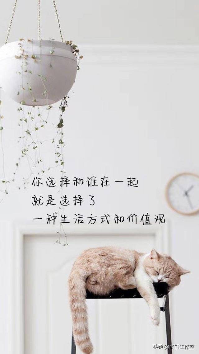 2137fd15f09e473cbeaac9481479aea1.jpeg