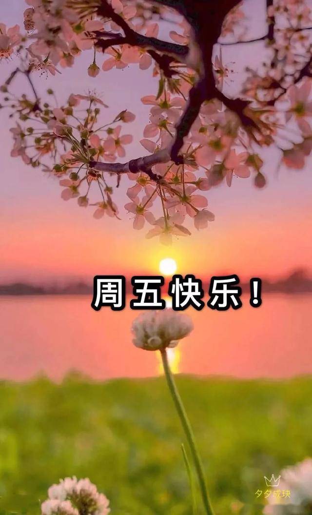 祝母亲节快乐图片_周日快乐图片_祝你周日快乐图片