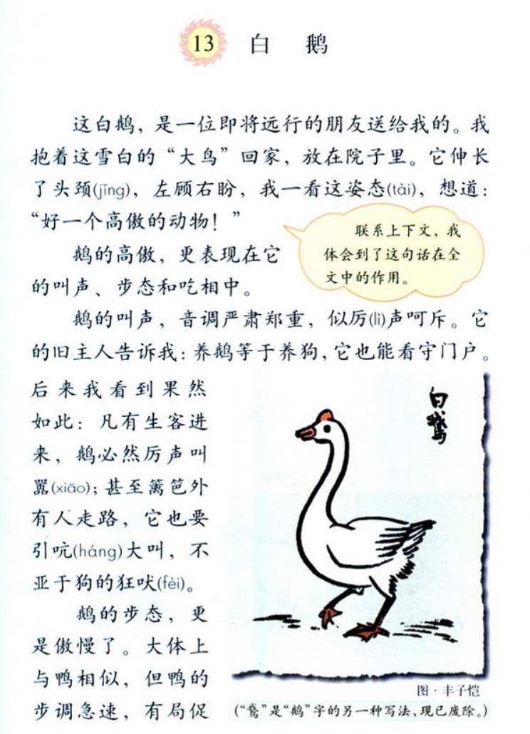 有声| 【那些年我们一起学过的课文】——白鹅