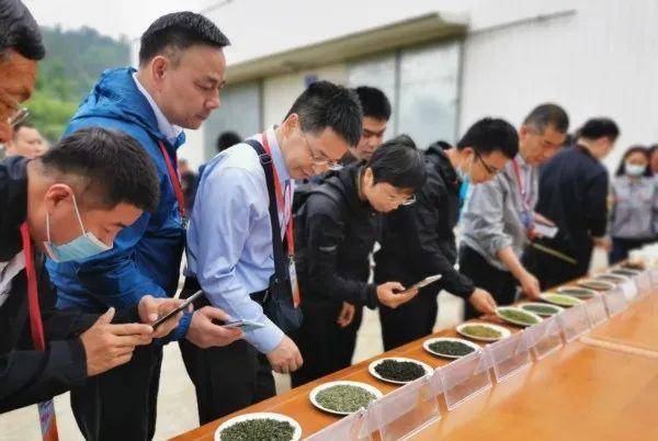 茶博会丨傅传耀疫情下的安顺茶产业更加壮美