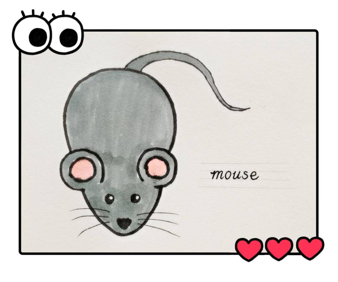英语萌萌画 | mouse 老鼠