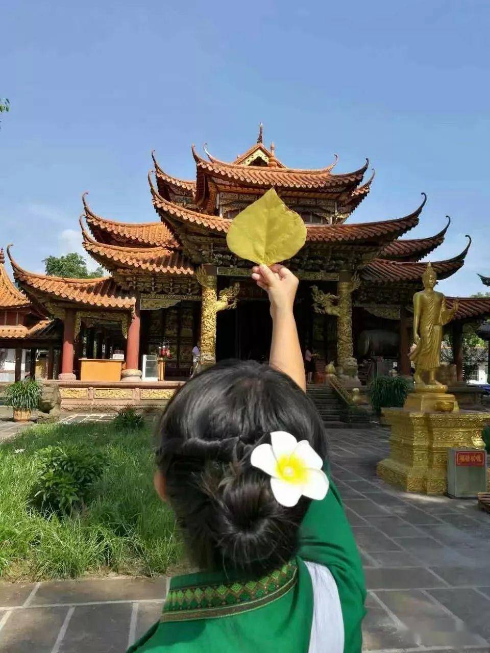 芒市勐嘎人口_德宏芒市勐嘎镇图片