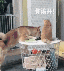 搞笑gif哥们因为你的眼神已经出卖了