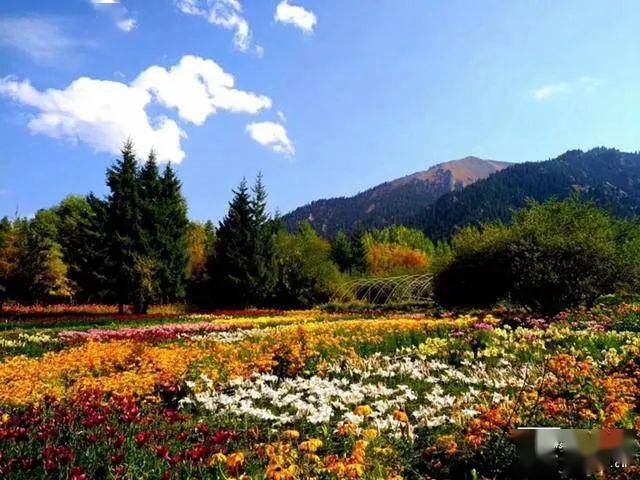 疆内时讯:新疆90家国家4a级景区全名录,塔城地区有二
