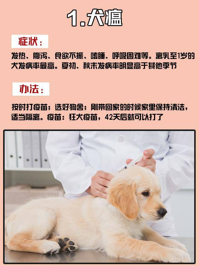 e78de47d8874458e8a81d5cc807f36d6.jpeg