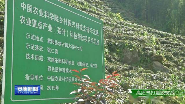 金山区有多少人口_上海金山区有哪些公司(2)