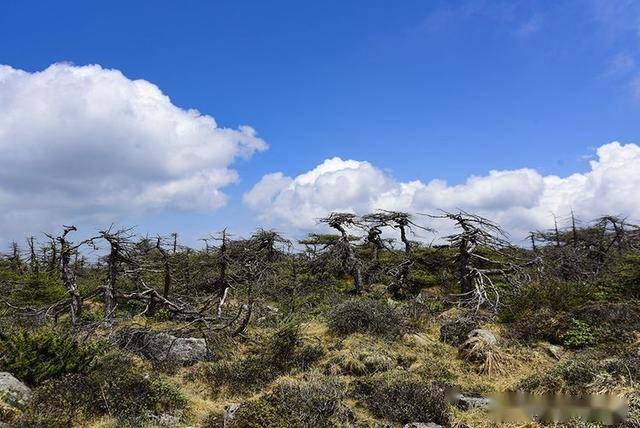 鳌山人口_简阳鳌山公园图片