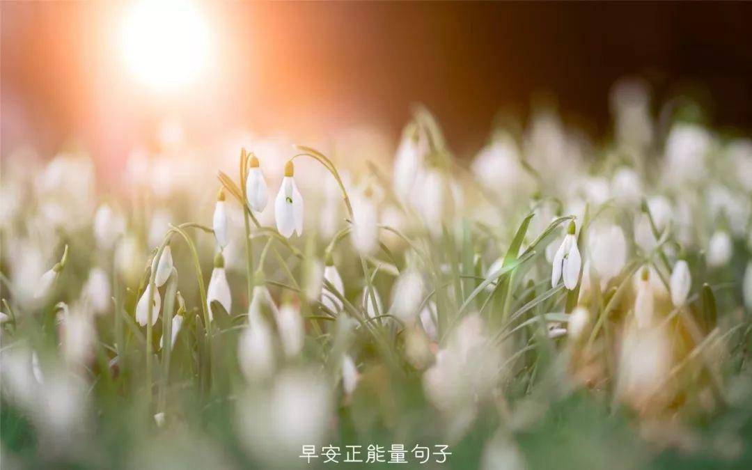 早安心语励志语录 励志的句子致自己_人生