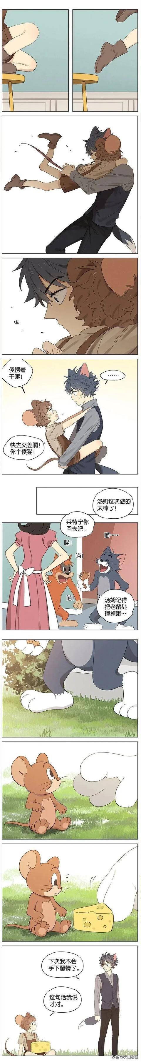 漫画:猫和老鼠