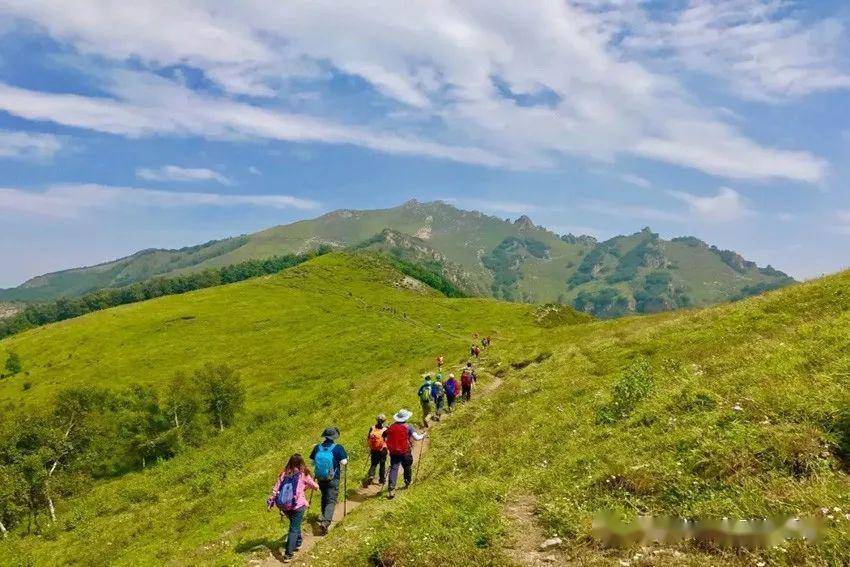 6月13日北灵山北灵顶上走高山草甸行户外圣地北灵山一日野山环穿