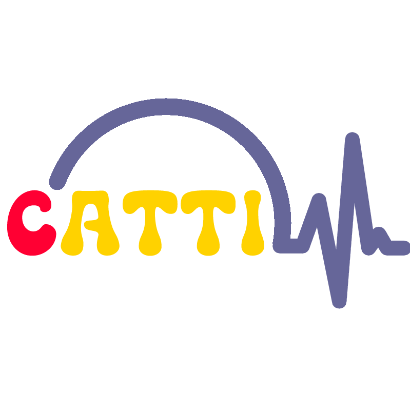 CATTI国际版证书在多领域使用