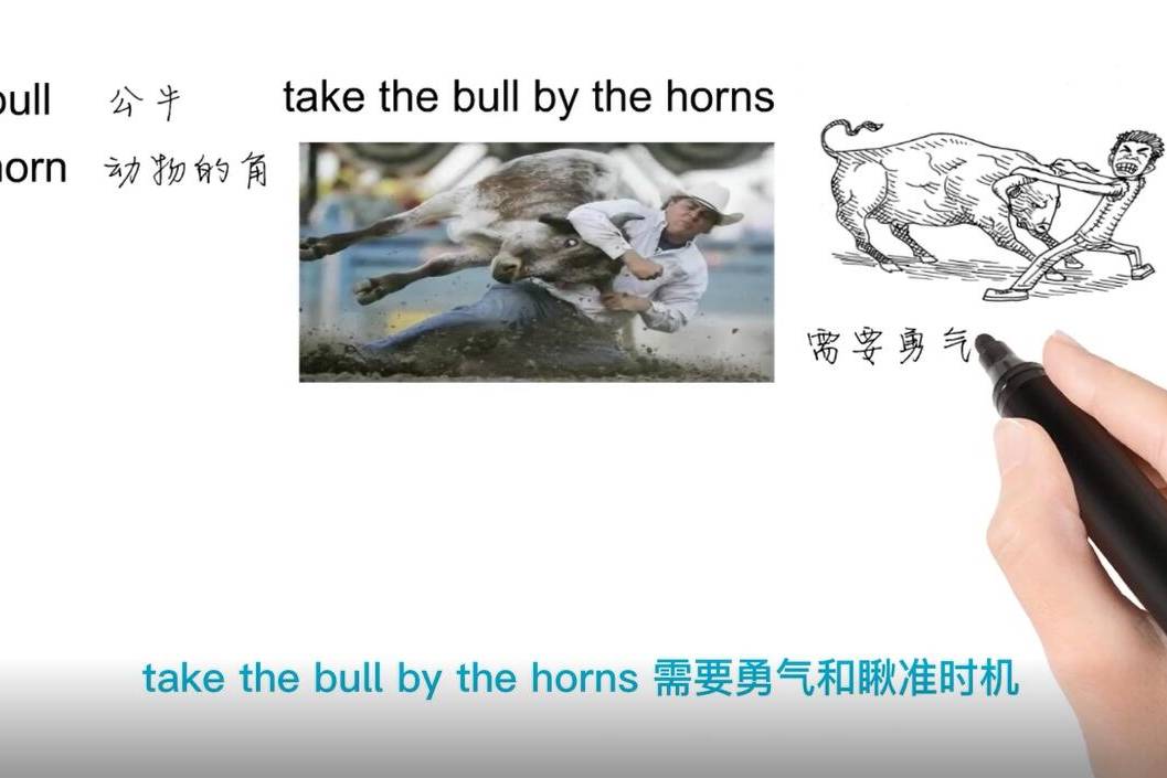 Jason|英语思维解密，为什么take the bull by the horns表示果断采取行动