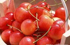 超市78一斤的樱桃和20一斤的有啥区别？3处不同，但有1处相同！