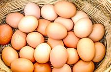 鸡蛋和此物一起煮，营养足了，皱纹也不见了，就连免疫力也增强了