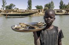 非洲的海鲜产量大，为何人们却不愿意吃，反而吃有寄生虫的东西？