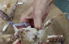 螃蟹一辈子要脱壳18次？赶上脱壳吃都不用剥壳了，观众：还能吃吗