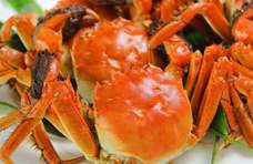 为什么味道鲜美的大闸蟹，欧美人却不喜欢吃呢？