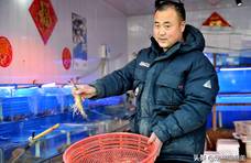 吃一只少一只，渤海湾对虾来青岛65块钱一只，错过了想买都难