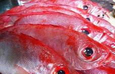 这种鱼很多人没见过，满身赤红似火焰，做成寿司却别有一番风味