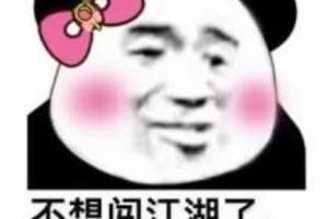 沙雕表情包之强行撩妹土味情话:不想闯江湖了,只想闯姑娘的心房