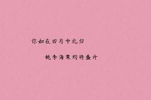 华丽转身明星级海岛婚礼