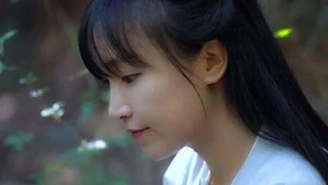 网红李子柒和MCN的资本困局
