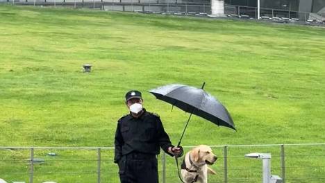 我从未像2022年这样，如此需要陌生人的善意