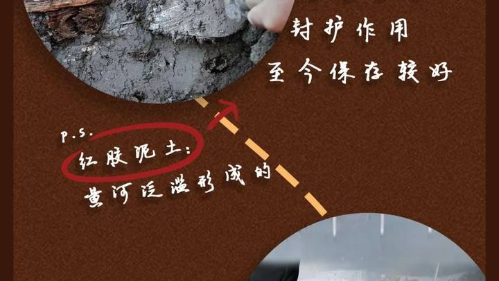 河南宋国故城遗址发现大面积千年桑、柏树枝,是历史文化遗存吗?